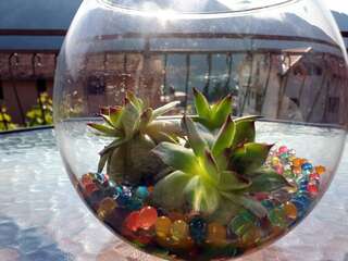 Апартаменты Apartments Lazarević Котор Апартаменты с видом на море-8