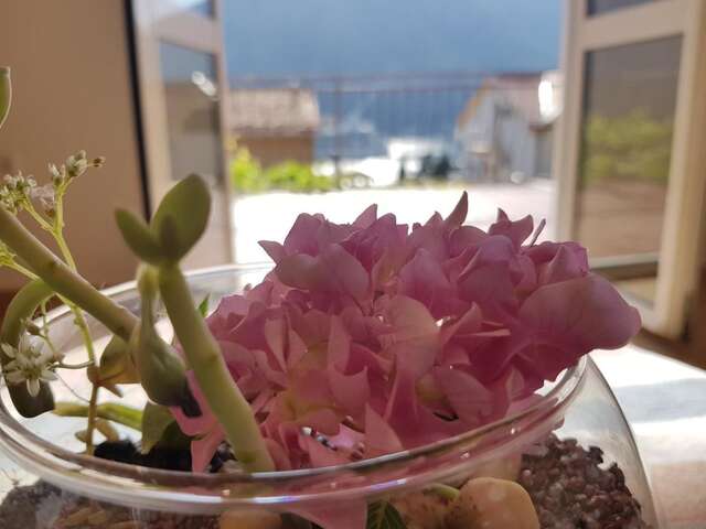 Апартаменты Apartments Lazarević Котор-14